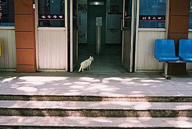 湿身泳装配泳池 《第一后裔》新皮肤预计提前上线